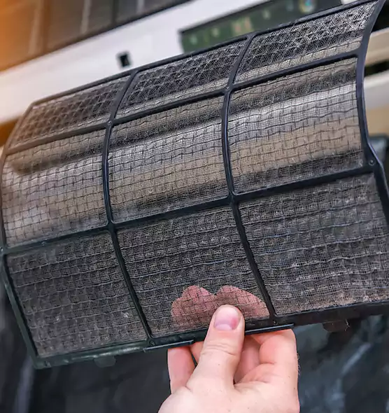 About Pet Dander Duct Cleaning in Sunset, FL